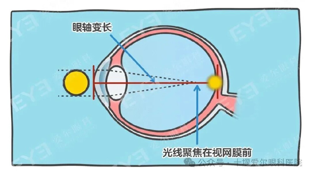 1766455998128493.jpg 640.jpg